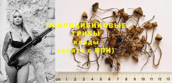 не бодяженный Протвино