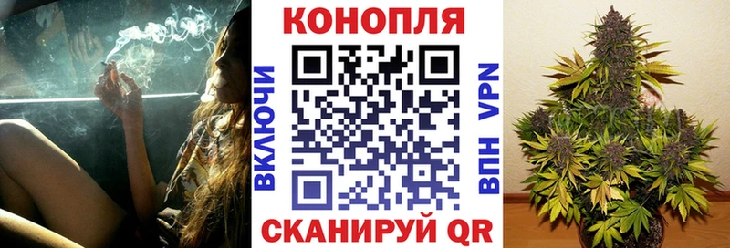 Купить где  Петровск  Шишки марихуана AK-47 